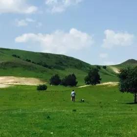 茉莉红花视频 红花我非常乐意为你提供帮助