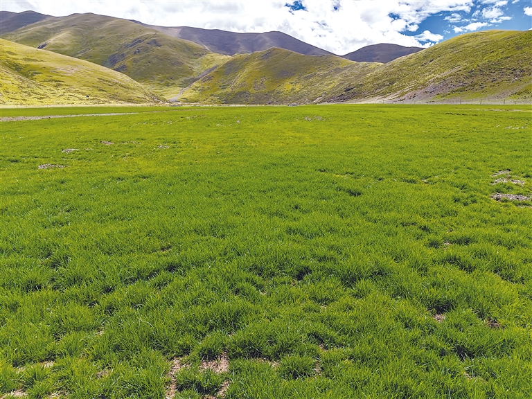 91 short 短 视 +频 快手等合法短视频应用