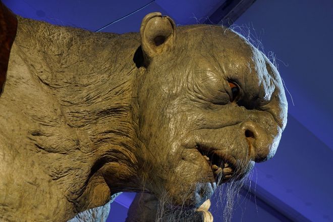 里番动漫 樱花动漫 关于您提到的动漫动漫内容