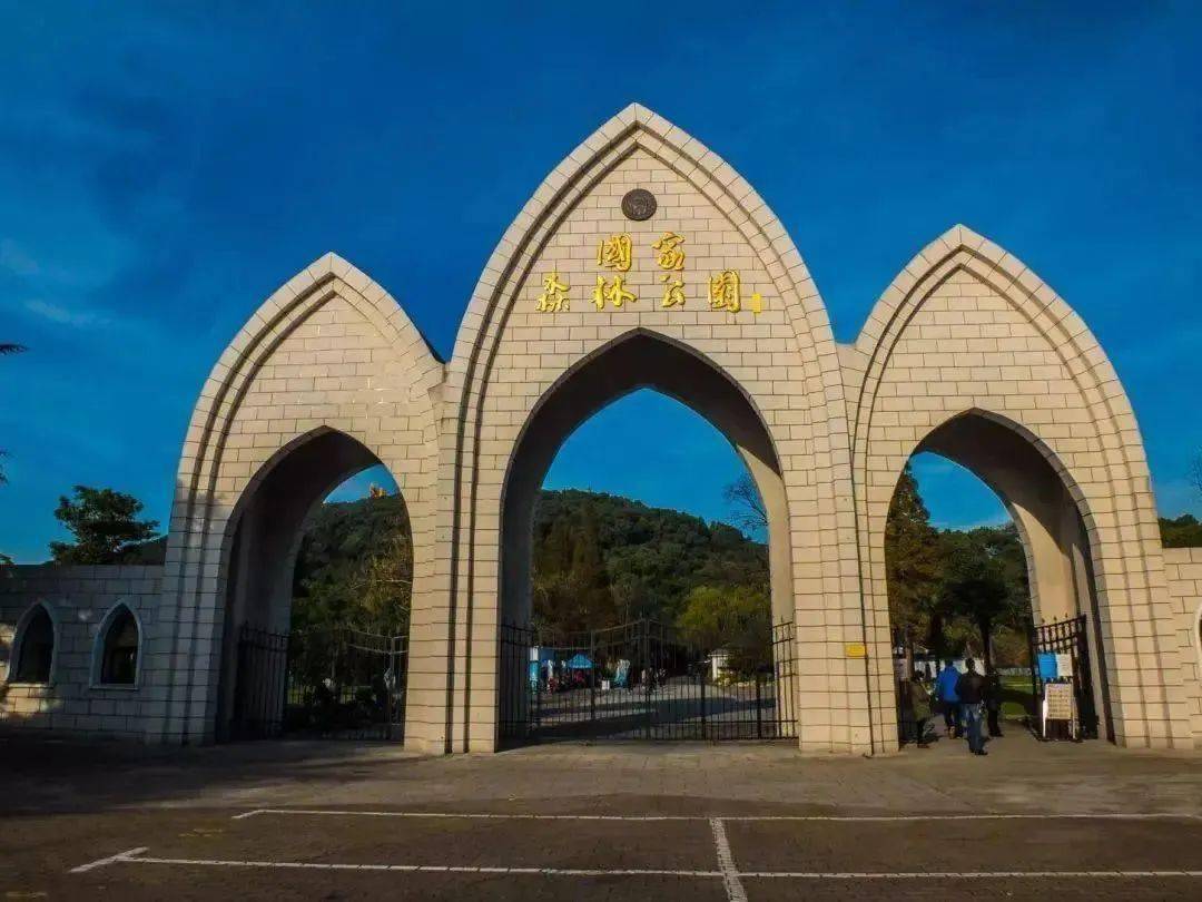 楪可怜 作品集 内页使用特种哑光纸