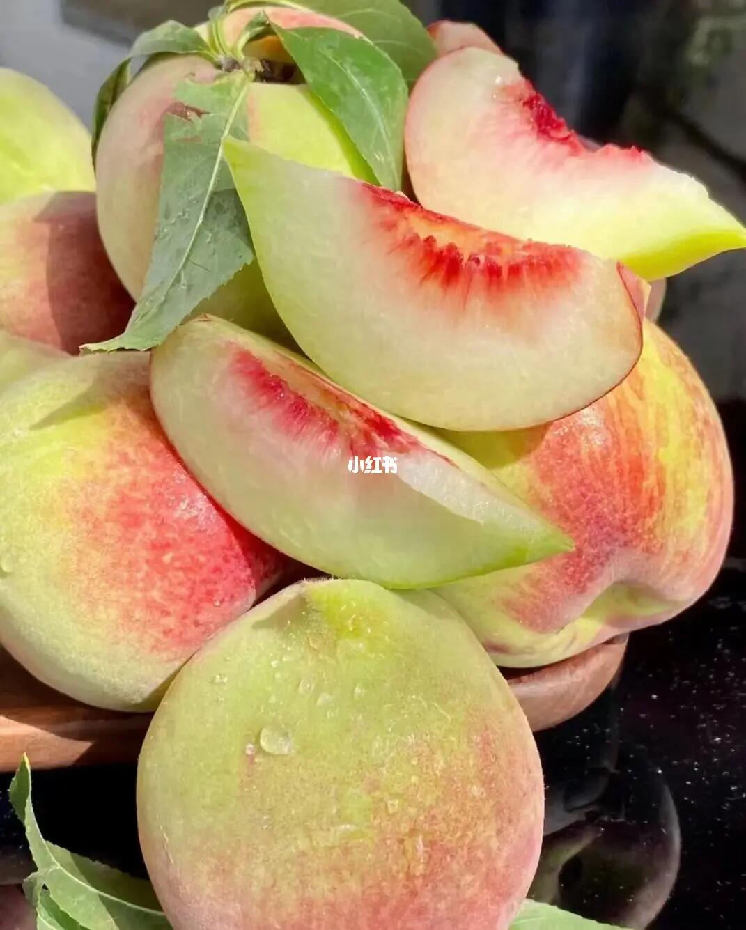 公交车最后一排被C白月