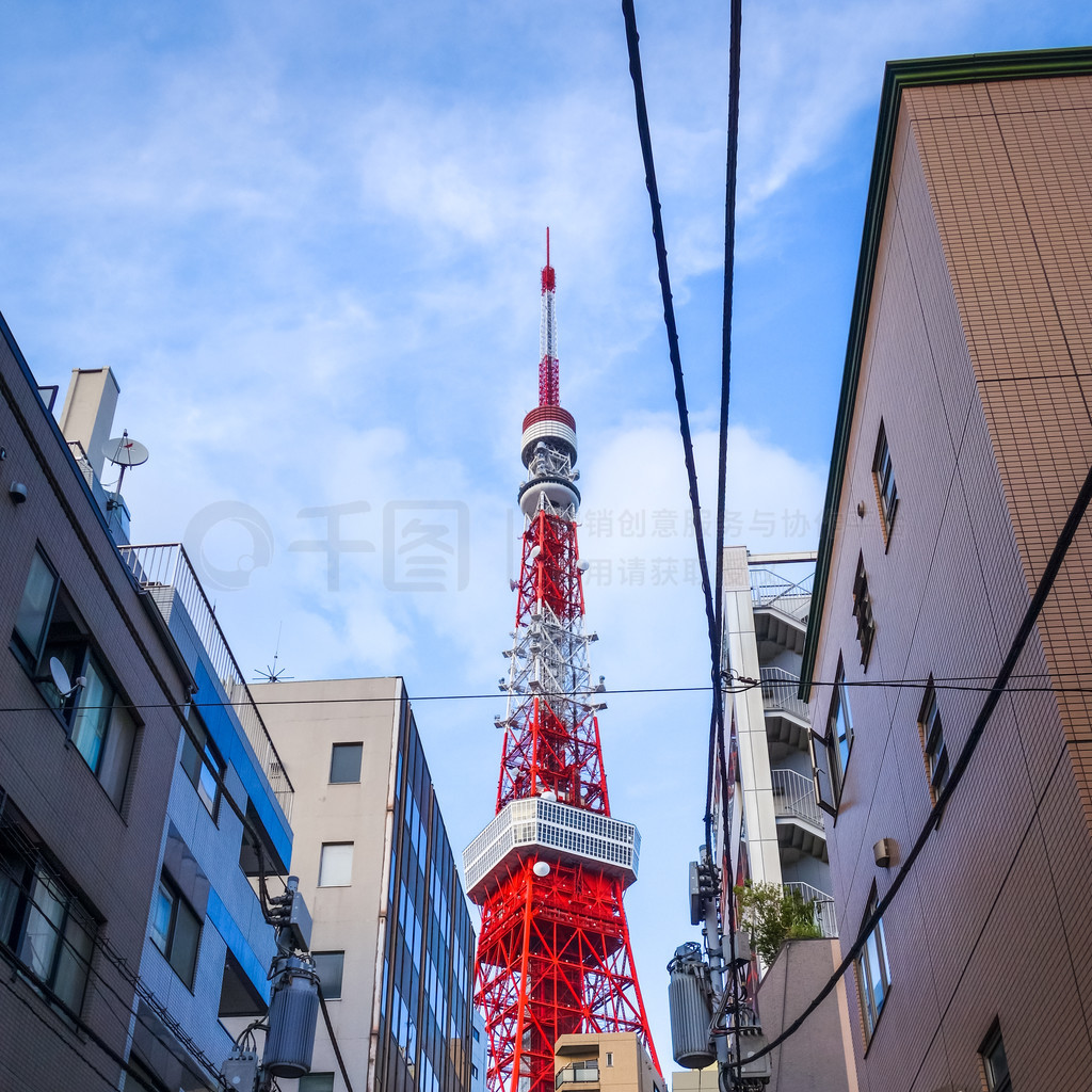 馨缘视频 积极向上的馨缘视频内容