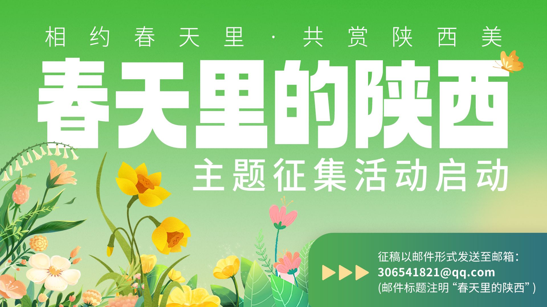 火影淫者在线观看