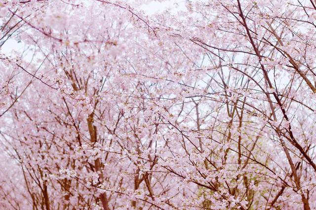 每日大赛反差吃瓜爆料合集 直观呈现事件反转过程