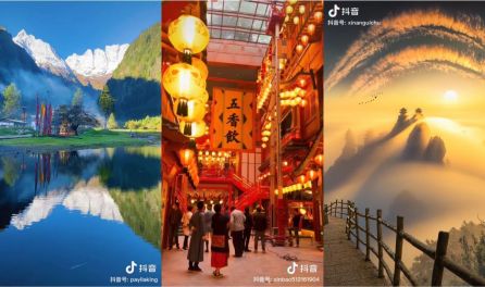 久久午夜无码鲁丝片午夜精品 有价值的鲁丝信息来源