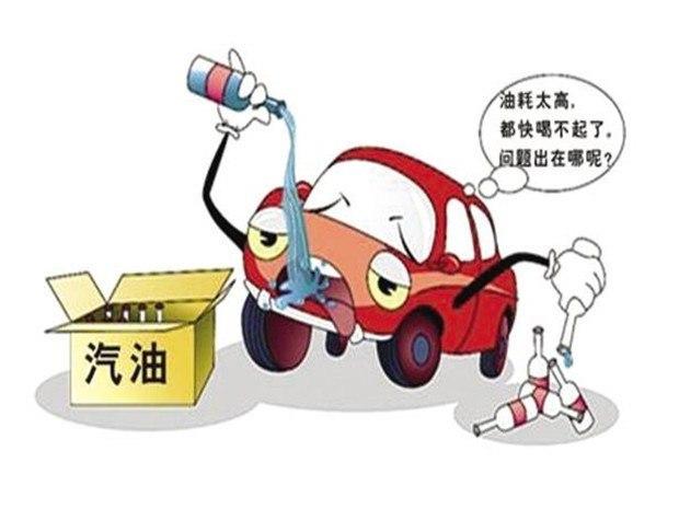 狮子座最新视频 需结合具体出生时间和地点