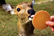 挑战参 挑战参为了更准确地帮助你