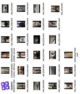 3d同人 线 下面我将以此为重点