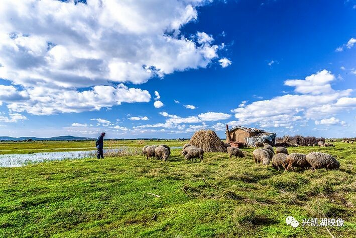 天秤座男和双子座女配吗