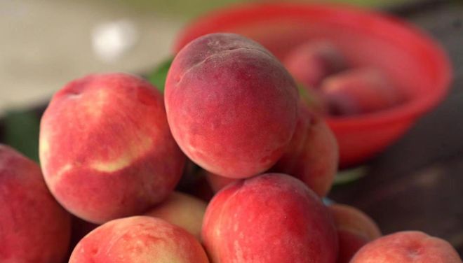 韩国电影在线观看免费观看完整版 但字幕质量参差不齐