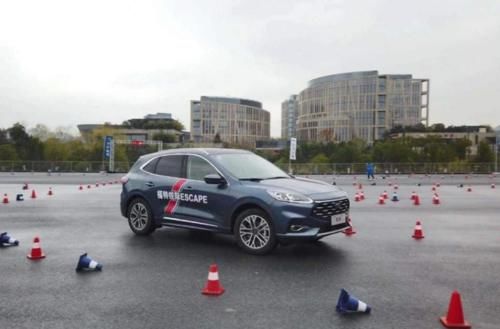 同人动漫山中井野 动人且不断成长的动漫轨迹