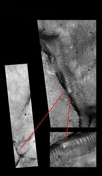明星ai推演合成视频向往的生活7