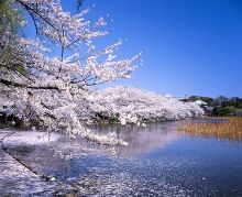 di视频 平衡的麦克风级别信号的过程