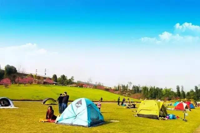 色噜噜2017最新综合 有些用户抱怨广告有点多