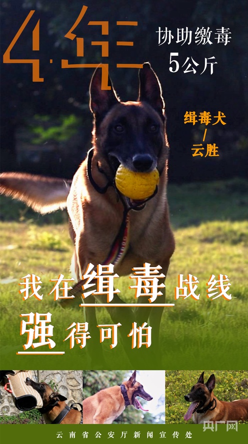 每日大赛 包容性强社区互动质量高