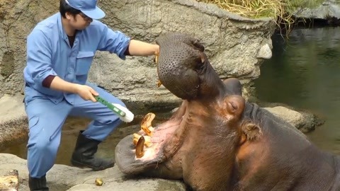 拔萝卜电影在线观看