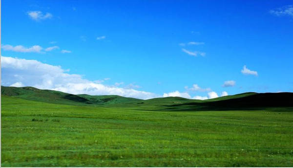 天天色天天干天天插