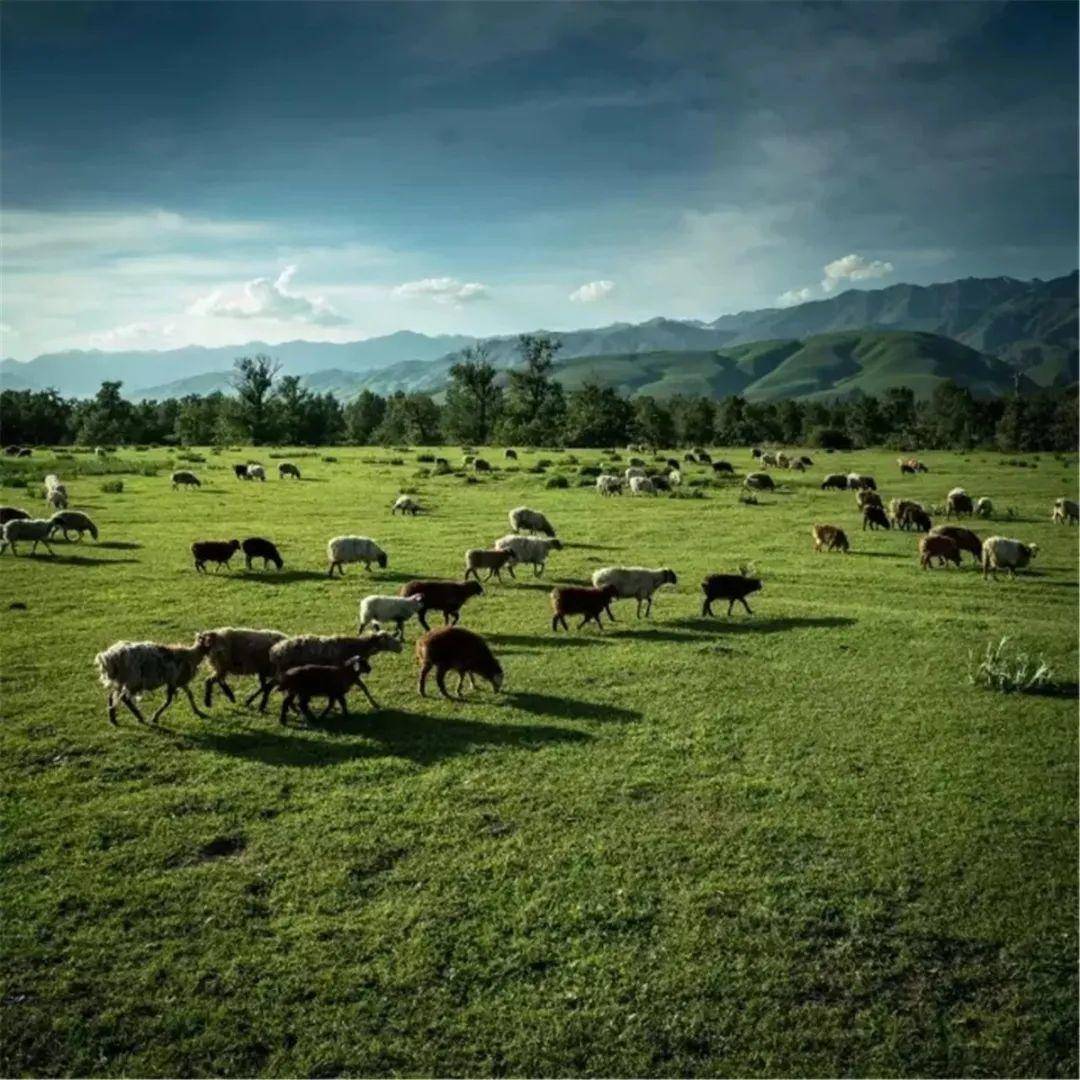 天天色天天干天天插 色天我非常乐意为你提供帮助