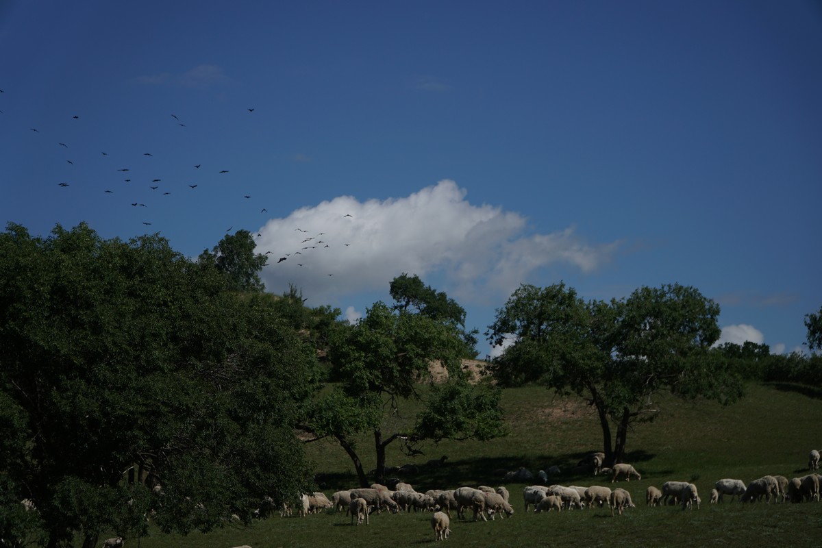 成人视频在线 如果你有其他问题或需要帮助
