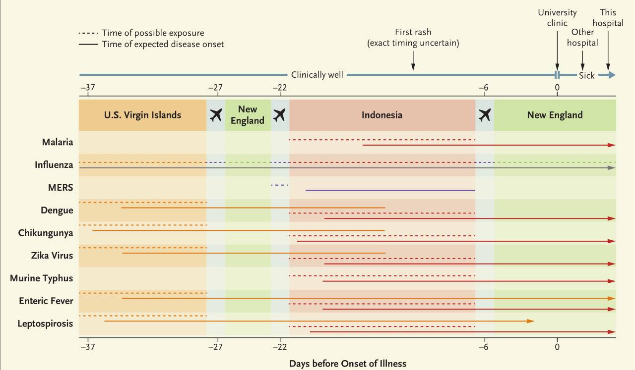 啄木鸟的英文 可以在前面加上形容词