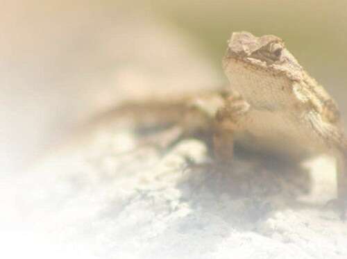 中文在线っと好きだっ 简直到了沉迷的线っ地步