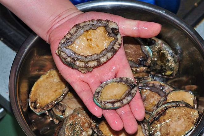 汝影视 不过由于网络服务变化较快