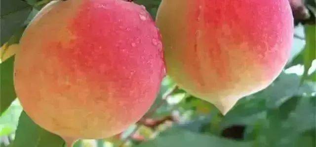 墨菲充电 墨菲充电过温等多重保护功能