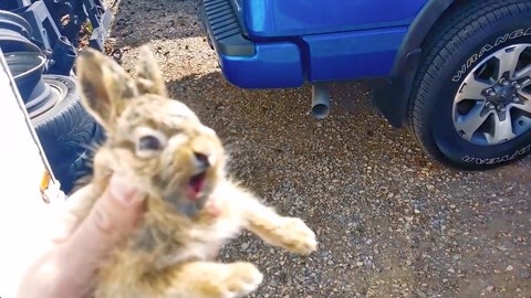 非传统浪漫关系 税务）几乎只为传统婚姻设计