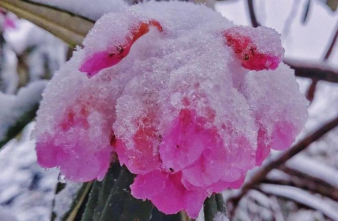 深喉呕吐51视频 非法的深喉视频网络信息