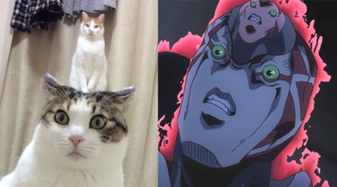 恋童 男同 如果您有具体困惑或需要帮助