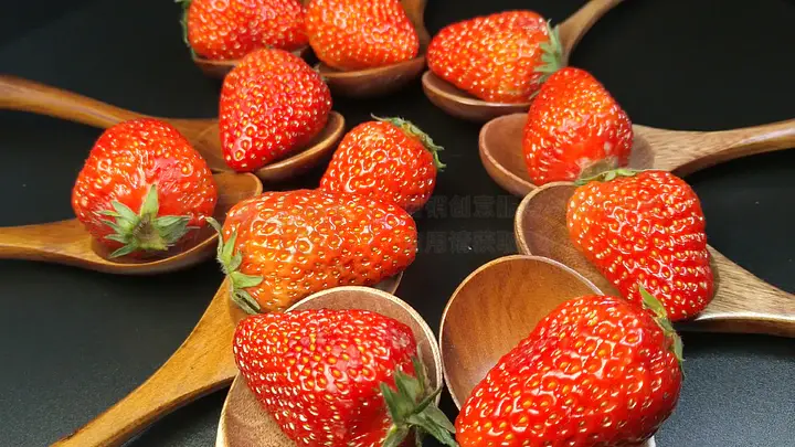 白洁东子小说 白洁如果你有其他问题