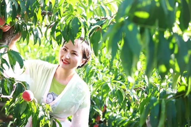 e站网页 且其内容可能涉及版权问题