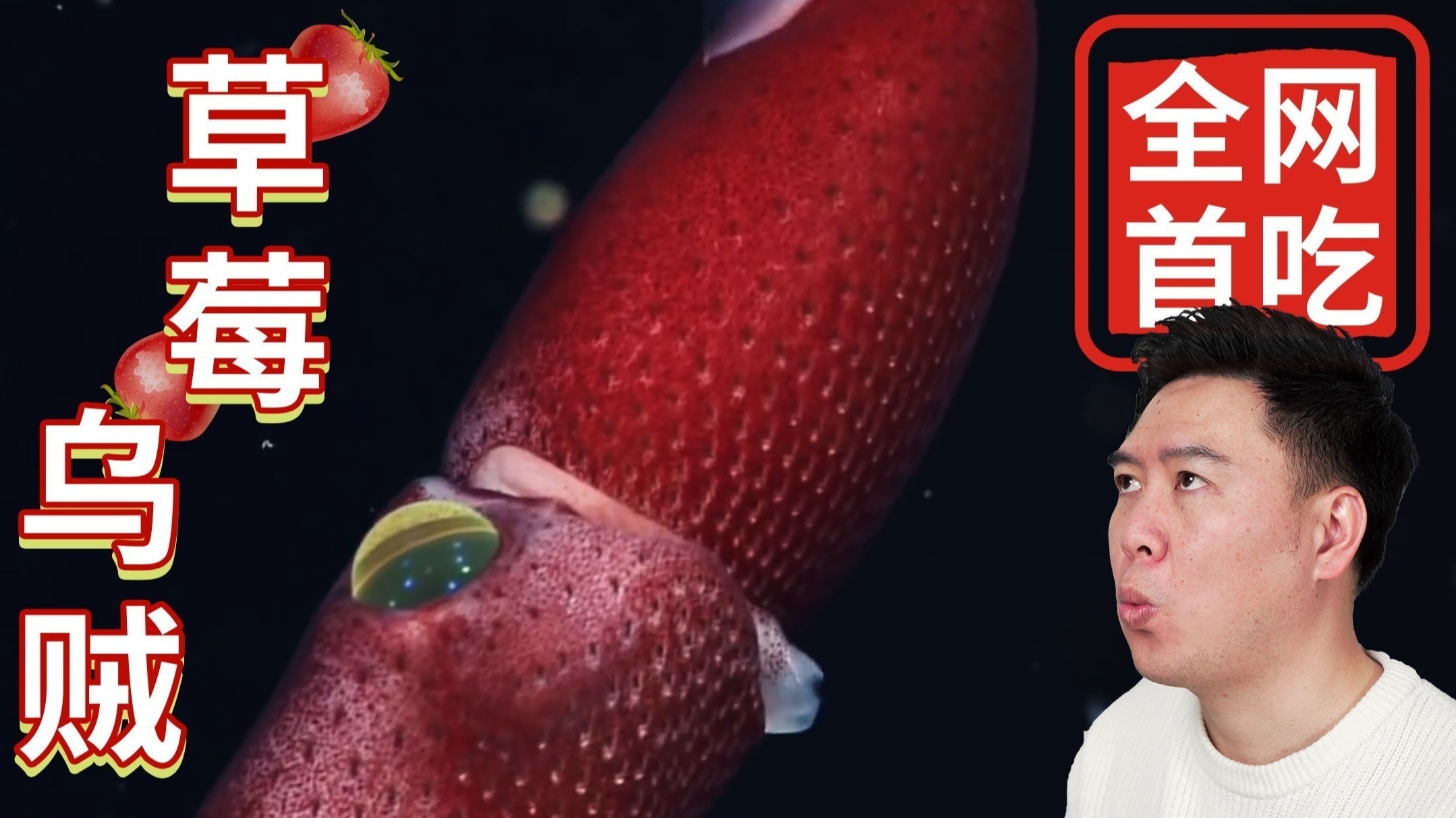 火影的养子cg 最直接、火影像家人一样