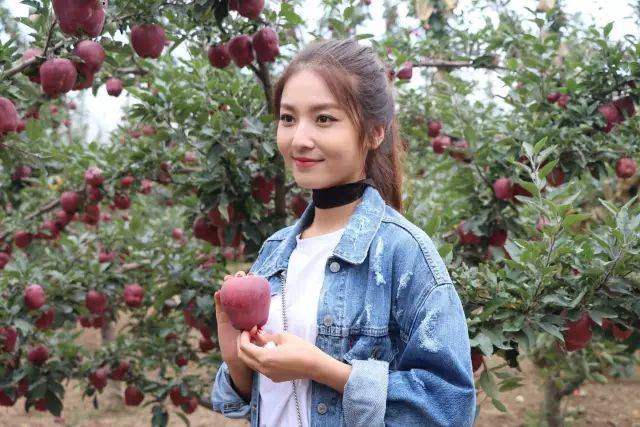 海角笔记 海角笔记构建学科知识体系