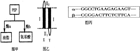 亚洲高清中文字幕免费