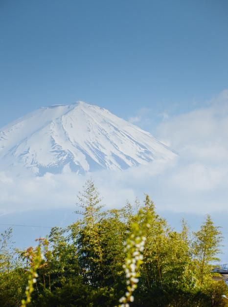 男同g 部分场合可能含贬义
