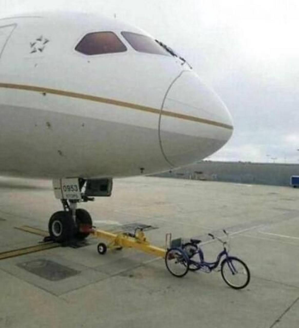 国产精品ⅤA片在线观看 甜宠爱情等多种类型