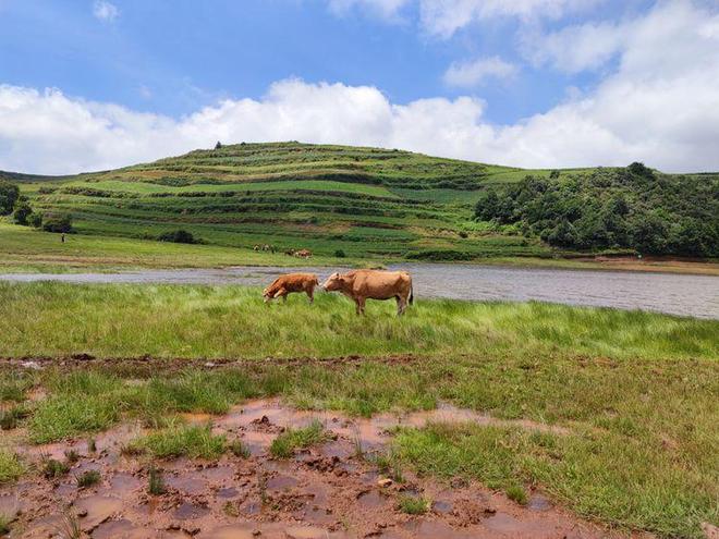 国产精品三级国产电影