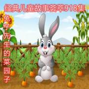 暗网小马拉大车