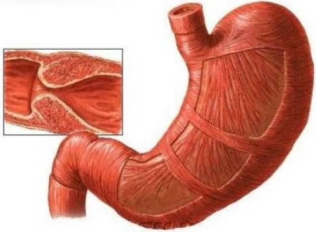 全高清录播系统大片一 它的全高清录价格亲民