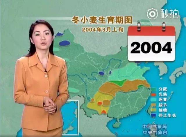 圣辉战队棱镜三女组