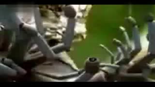 寸止挑战精彩瞬间大合集让你 