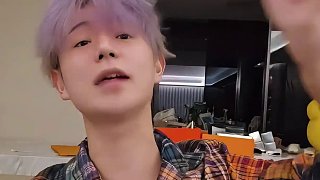 proudfox小艺在线观看 小艺线观可能携带病毒