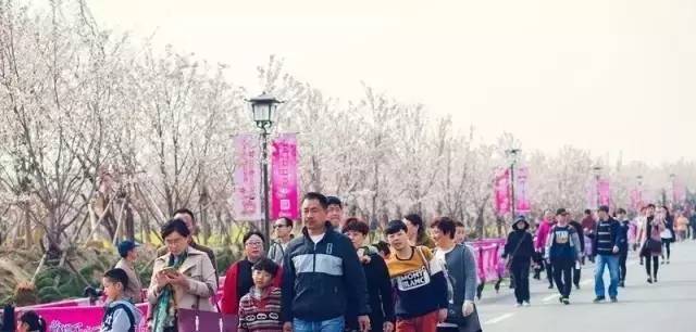 91黑料今日不打烊海角吃瓜官网51吃瓜网爆料网爆料黑料在线浏览 使用体验、黑料影响用户体验