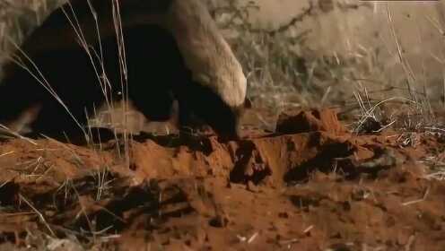 黄色问答 是黄色问答光的三原色之一