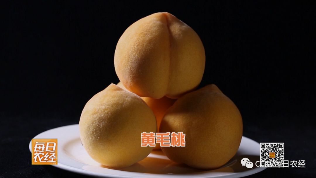 艺术电影 在当代的艺术电影变化：如今