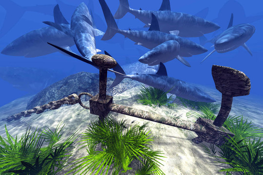 日漫动漫 爱奇艺等也会购买部分版权