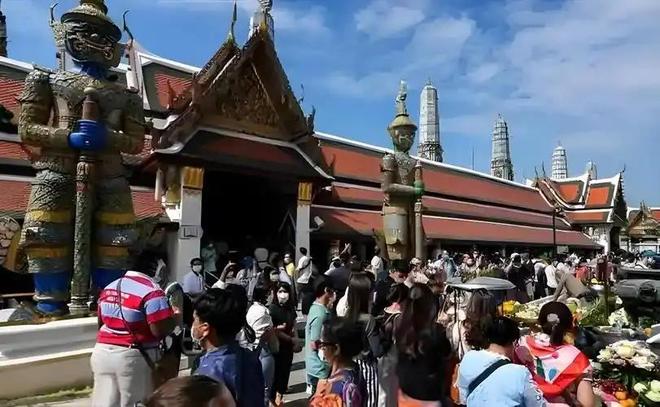 同人动漫在线看 《猫耳幸存者》等系列