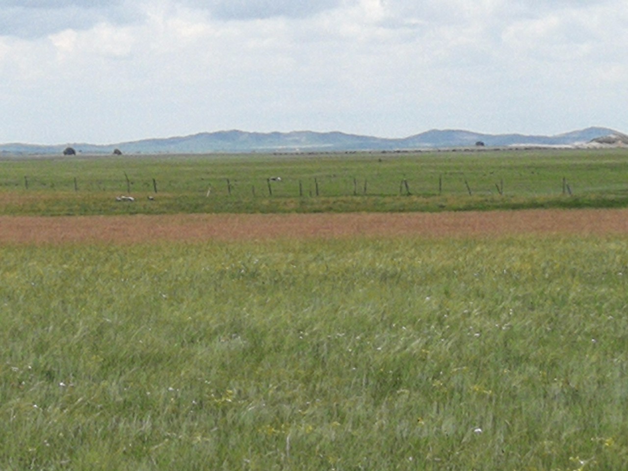 唐心vlog天美影院 省去了跨平台搜索的影院麻烦