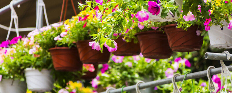 ****小泬粉嫩精品图 ****心情就好起来